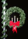 Christmas Greenery