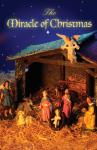 Miracle at Christmas